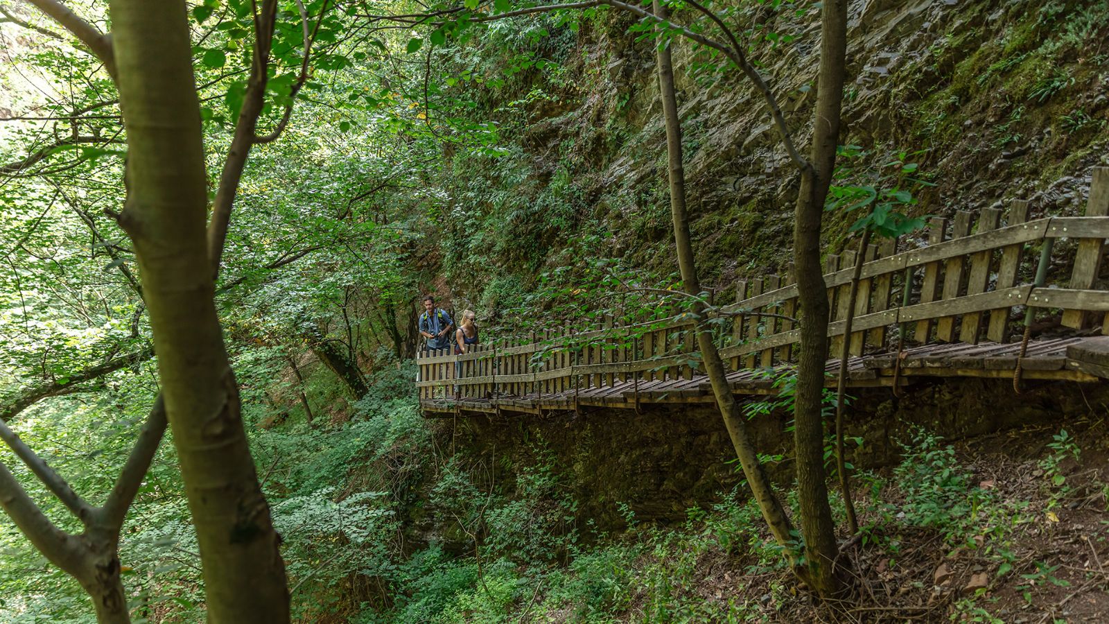 Hiking trail in the Breggia Gorge Park.