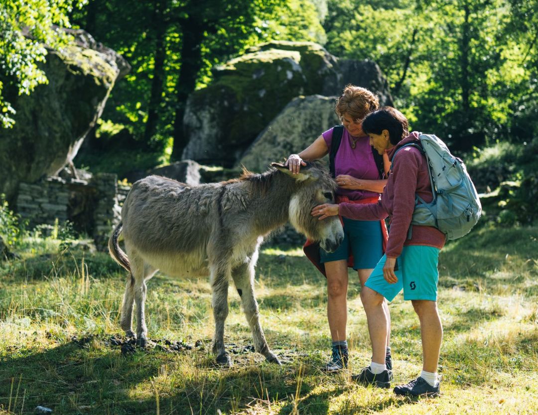 Leben im Einklang mit der Natur im Bavonatal