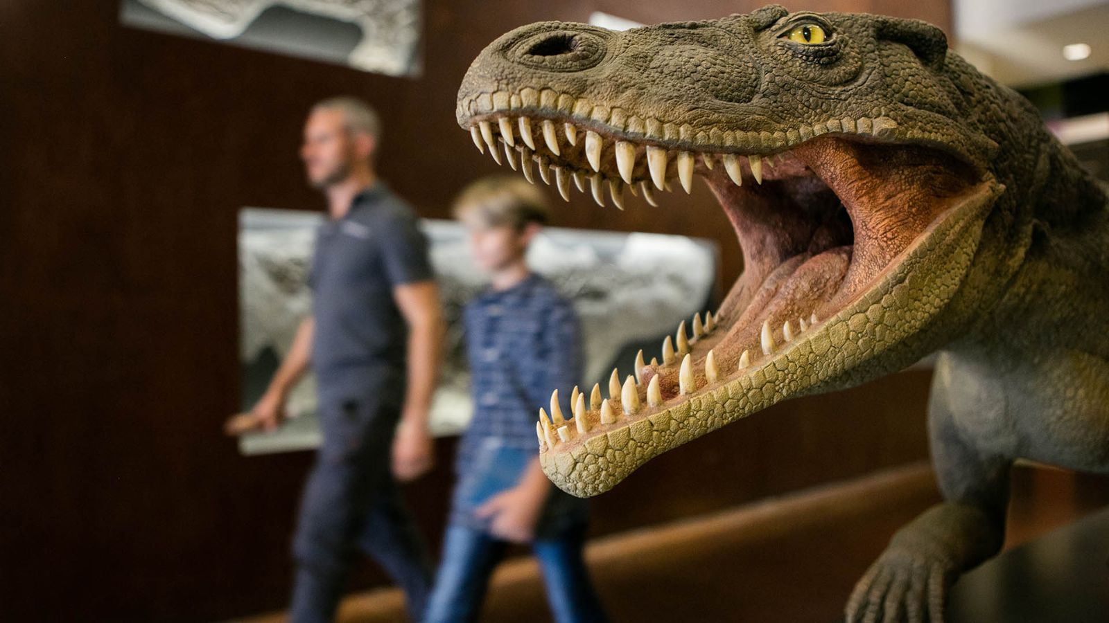Museo dei fossili, ricostruzione del sauro terrestre Ticinosuchus 