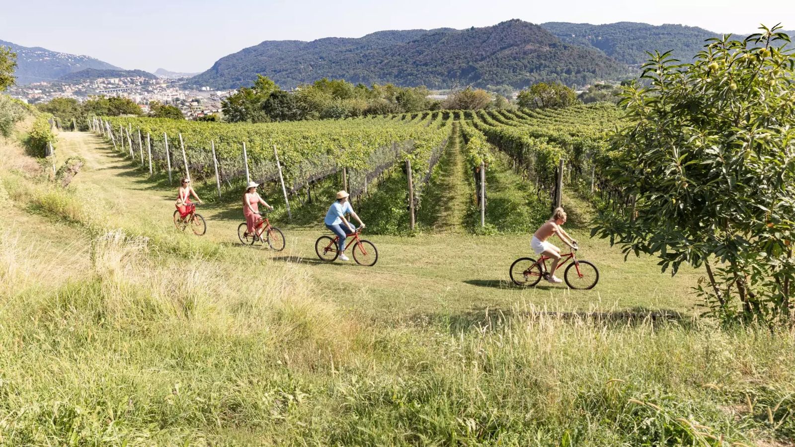 Bike&Wine, Mendrisiotto