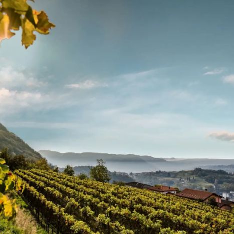 Das musst du erlebt haben_Mendrisiotto