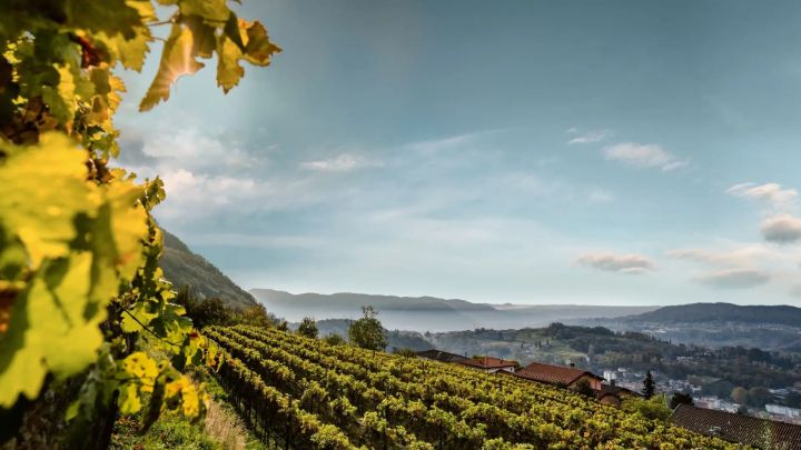 Un weekend nel Mendrisiotto