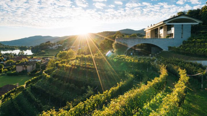 5 cantine dall'architettura affascinante