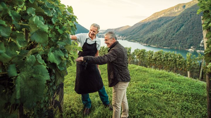 Esplora il mondo del vino ticinese