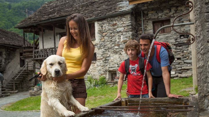 Ticino, dove le vacanze sono “dog-friendly”