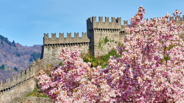 5 luoghi di magnolie in fiore