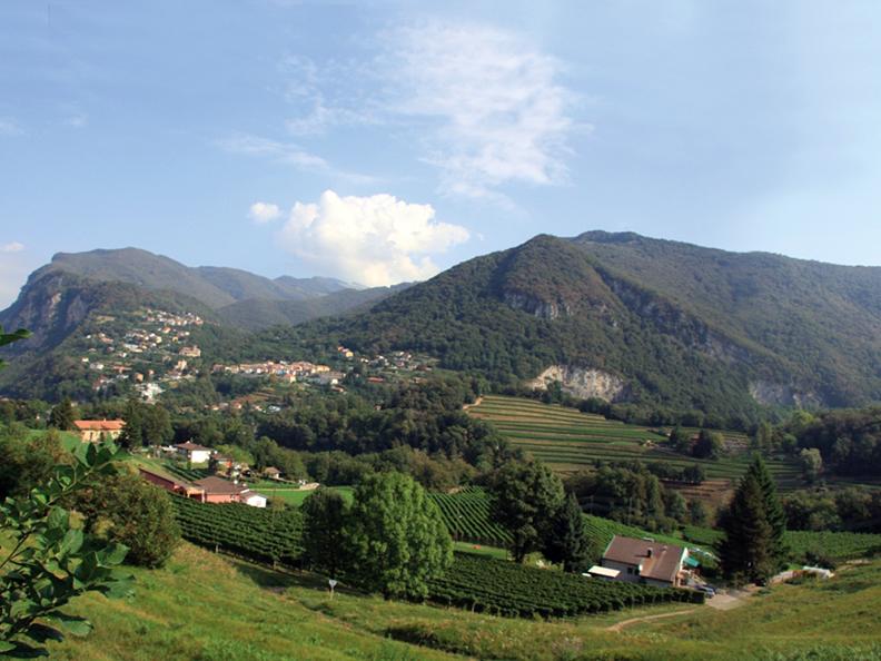 Image 0 - Azienda agricola e vitivinicola Cadenazzi