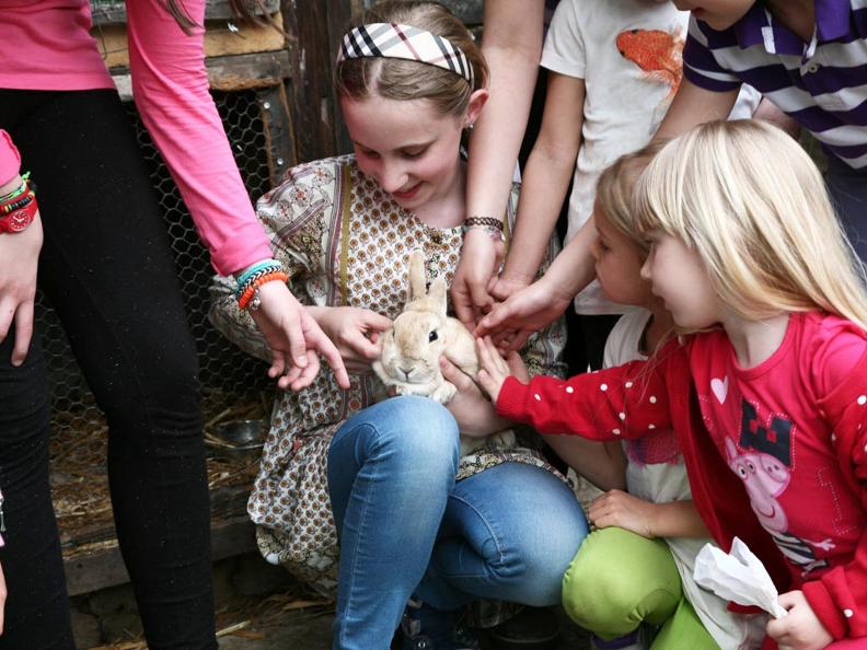 Image 9 - Ostello della Gioventù Lugano Savosa