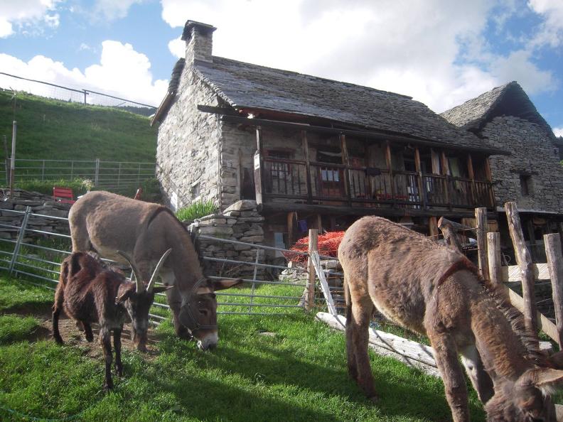 Image 1 - Rustico Tabido