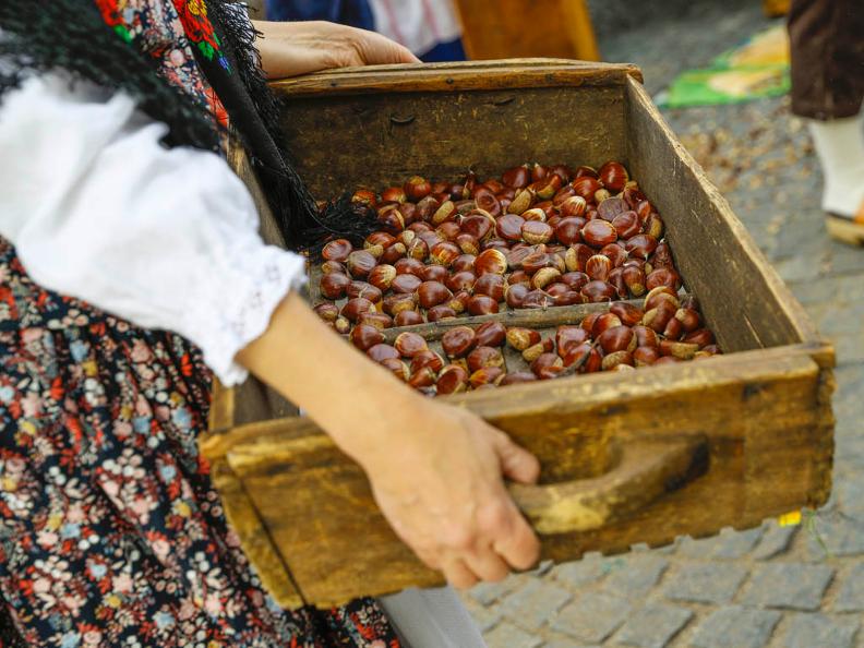 Image 1 - Chestnut Festival