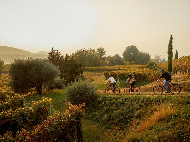 Image 0 - Bike&Wine Mendrisiotto