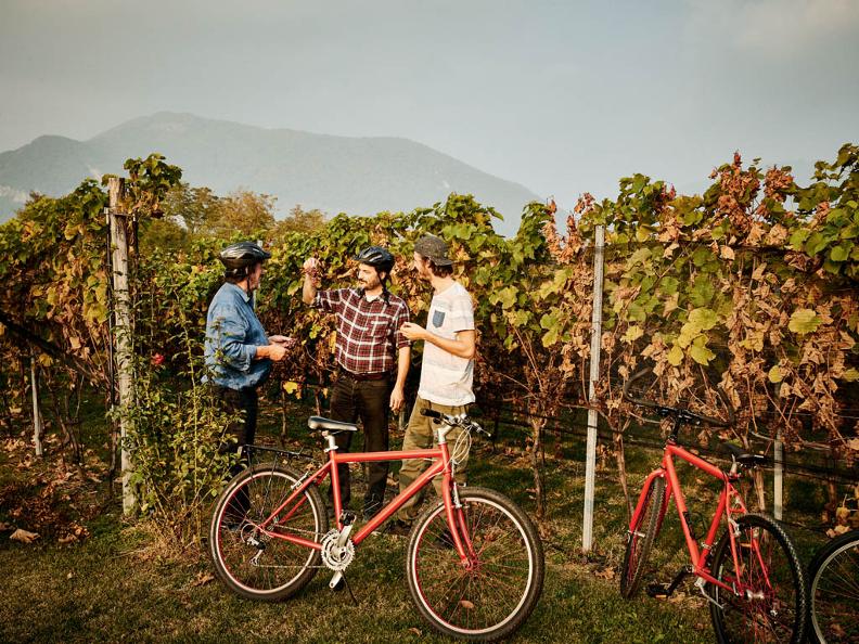 Image 3 - Bike&Wine Mendrisiotto