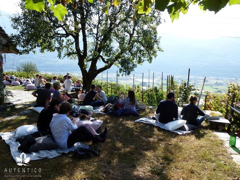 Image 3 - Vignic - picnic in the vineyard!
