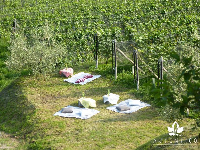Image 0 - Vignic - picnic in the vineyard!