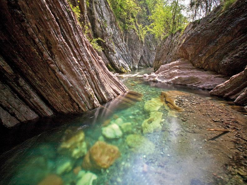 Image 0 - Voyage dans le temps de la nature