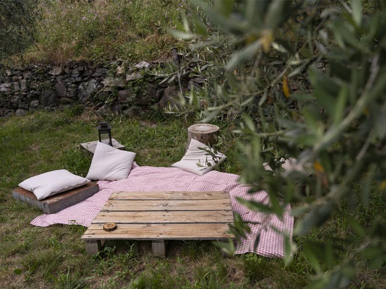 Image 2 - Pic-nic among the olive trees
