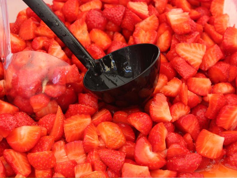 Image 5 - ANNULÉ - Fête des fraises