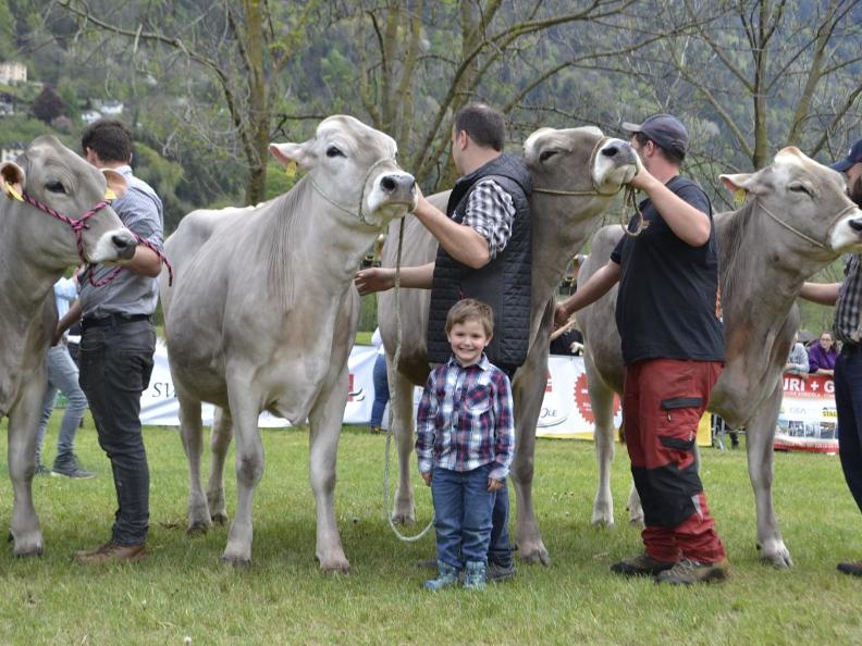 Image 0 - Blenio livestock exhibition