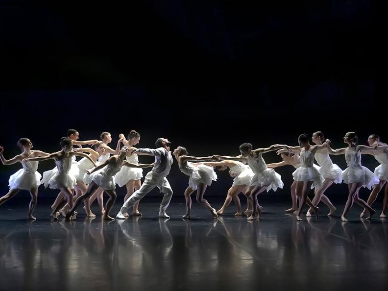 Image 0 - Ballet Preljocaj – Swan Lake
