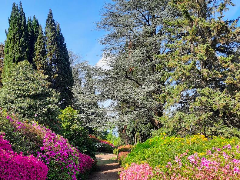 Image 0 - Visite guidée du parc San Grato en floraison