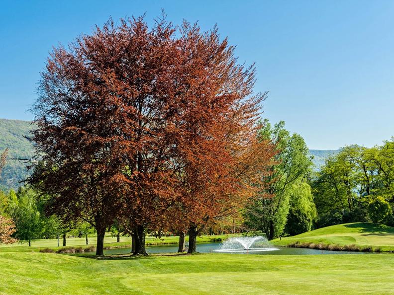 Image 9 - Golf Club Lugano