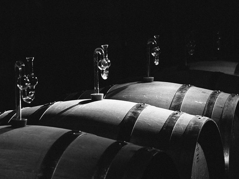 Image 6 - Tenuta Castello di Morcote – Weindegustation Terroir