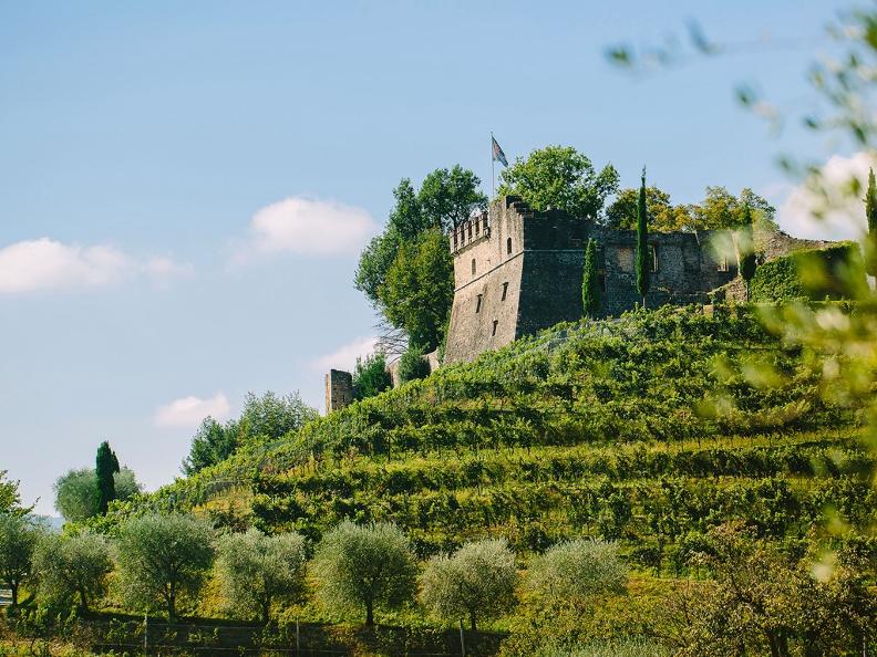 Image 9 - Tenuta Castello di Morcote – Wine tasting Terroir