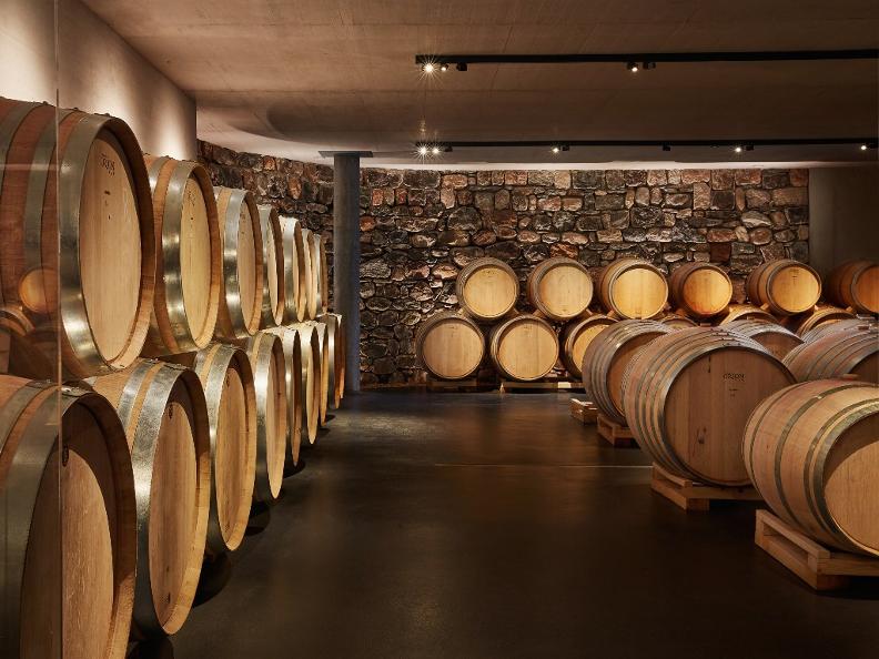 Image 5 - Tenuta Castello di Morcote – Wine tasting Terroir