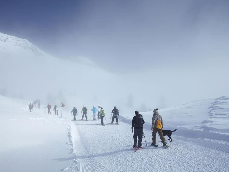 Image 1 - Snowshoe trail Carì – Prodör – Predelp – Carì