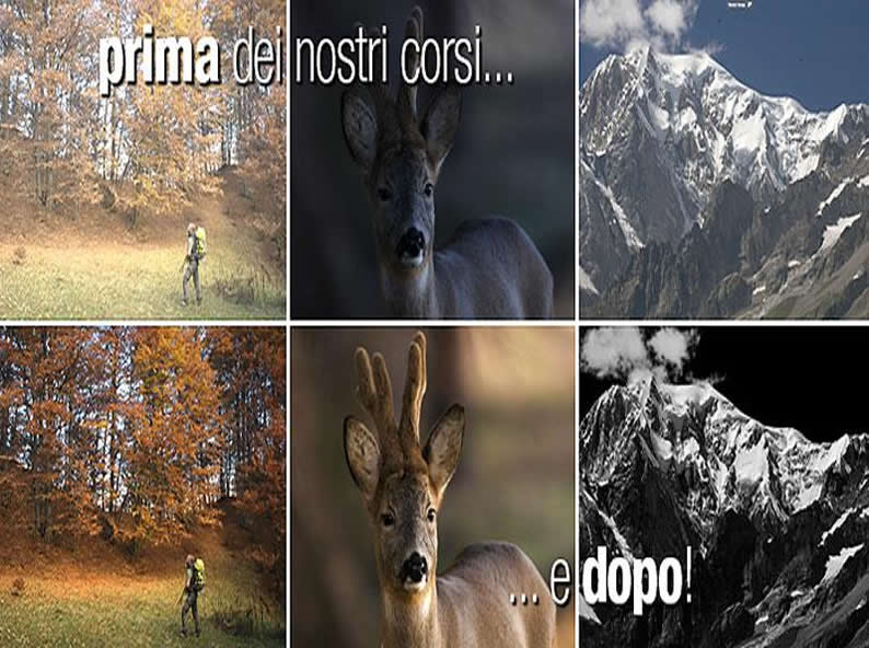 Image 1 - Lugano Photo Experience