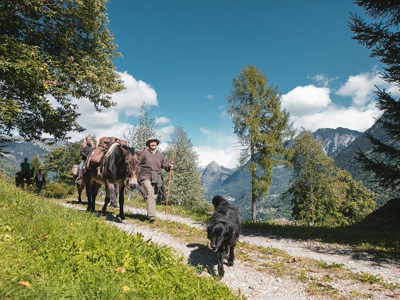 Image 0 - SOMARELLI - Trekking and adventure with animals