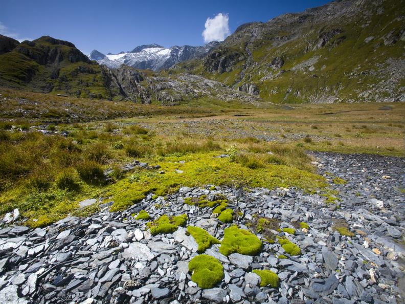 Image 2 - Das Nationalparkprojekt Parc Adula