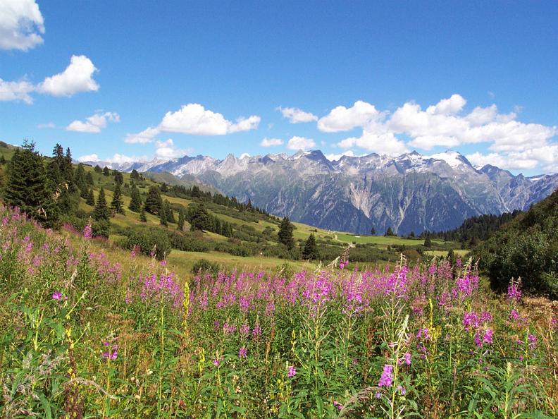 Image 5 - Das Nationalparkprojekt Parc Adula