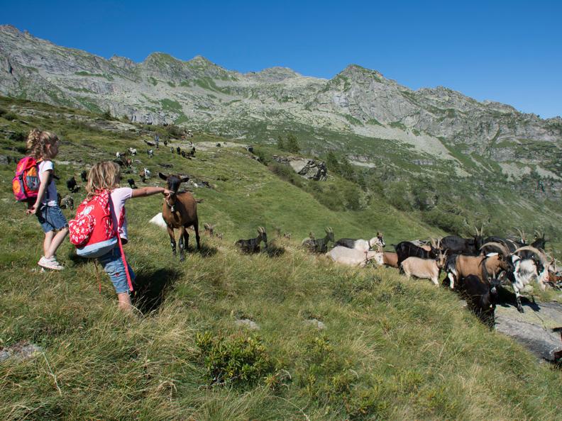 Image 3 - Projekte - Nationalpärke