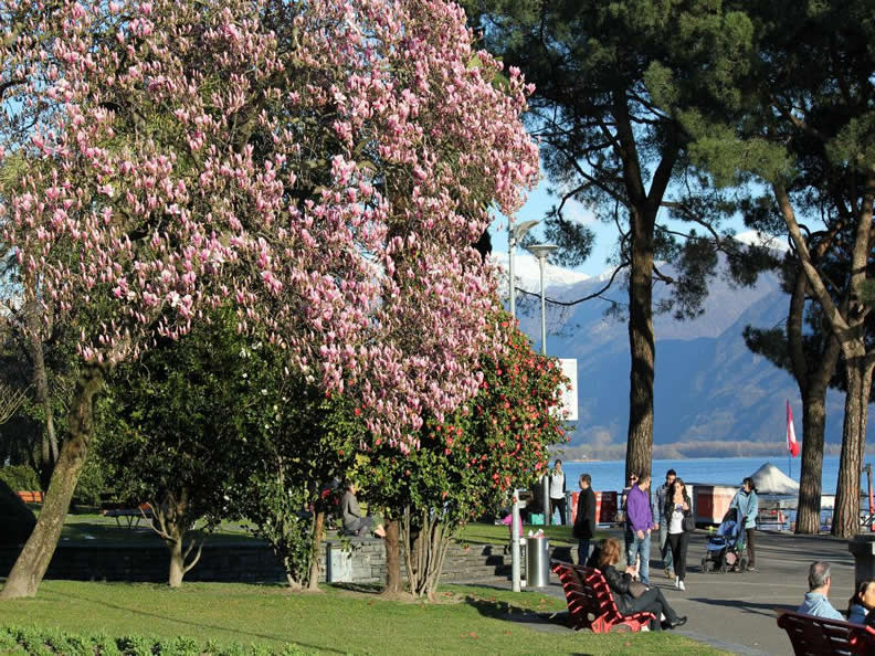 Les Jardins Au Bord Du Lac Locarno Muralto Ticino Ch