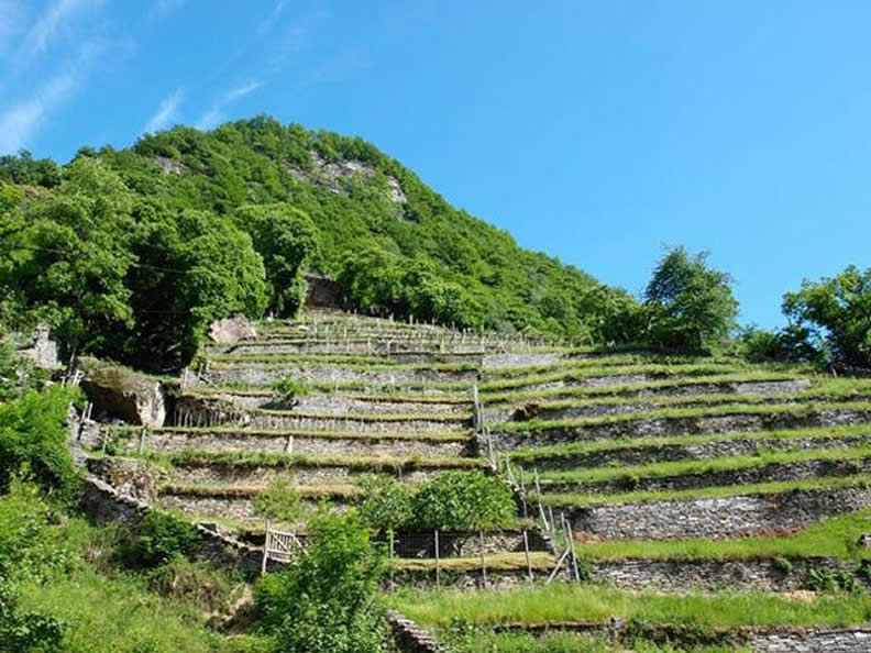 Image 0 - Linescio: village en terrasses