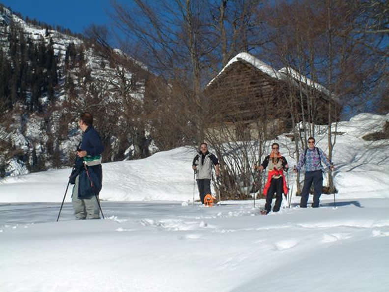 Image 0 - Piste de ski de fond à Mogno