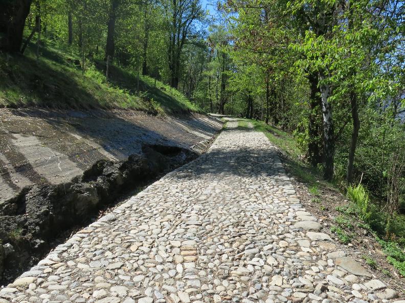 Image 0 - The historical Montecenerino trail