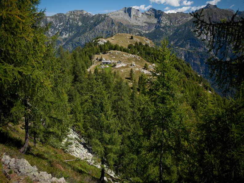 Image 2 - Réserve forestière Valle di Lodano