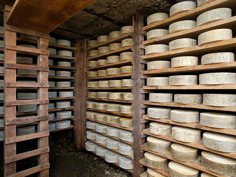 Image 1 - Le fromage d'alpage AOP
