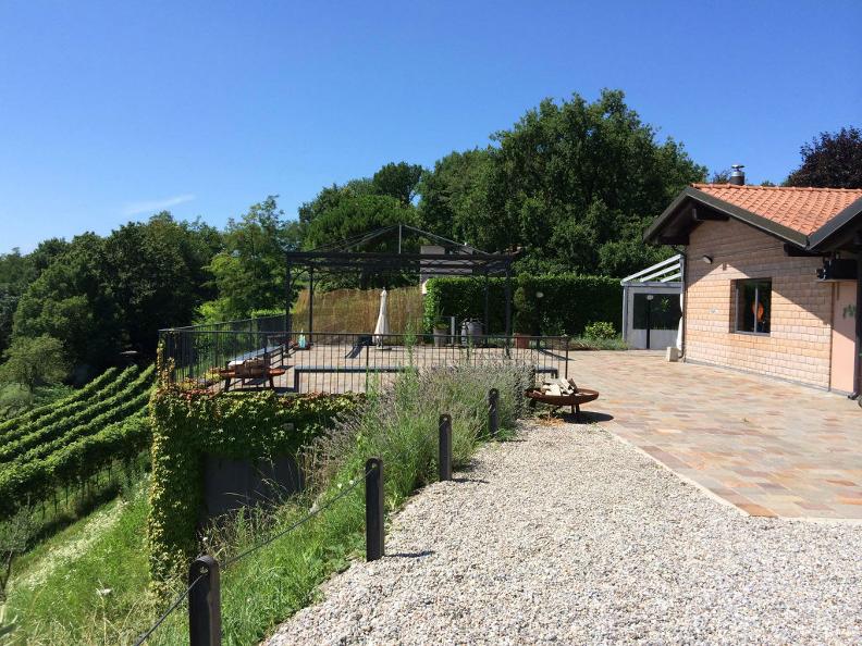 Image 0 - Cantine Latini SA - Azienda viticola