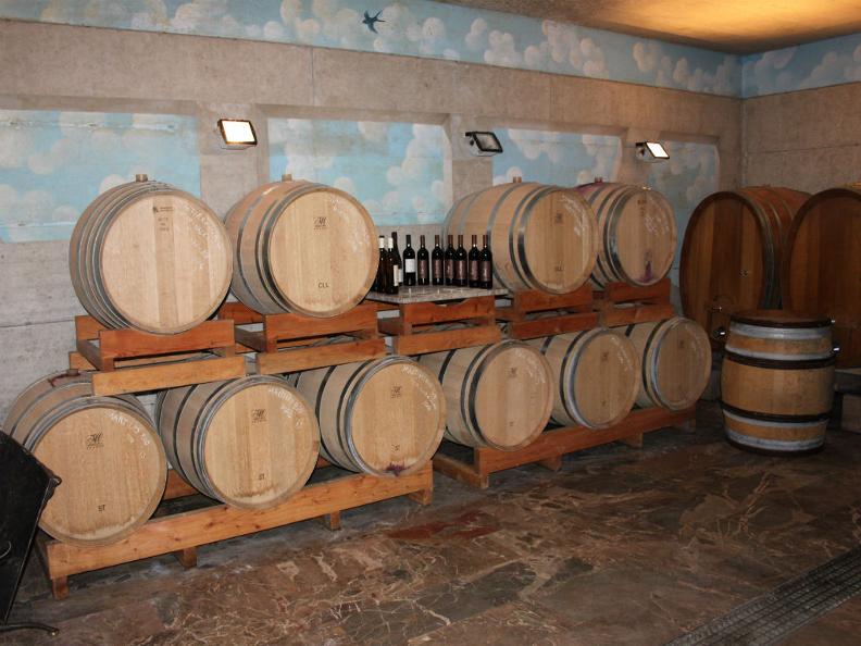 Image 5 - Cantine Latini SA - Azienda viticola