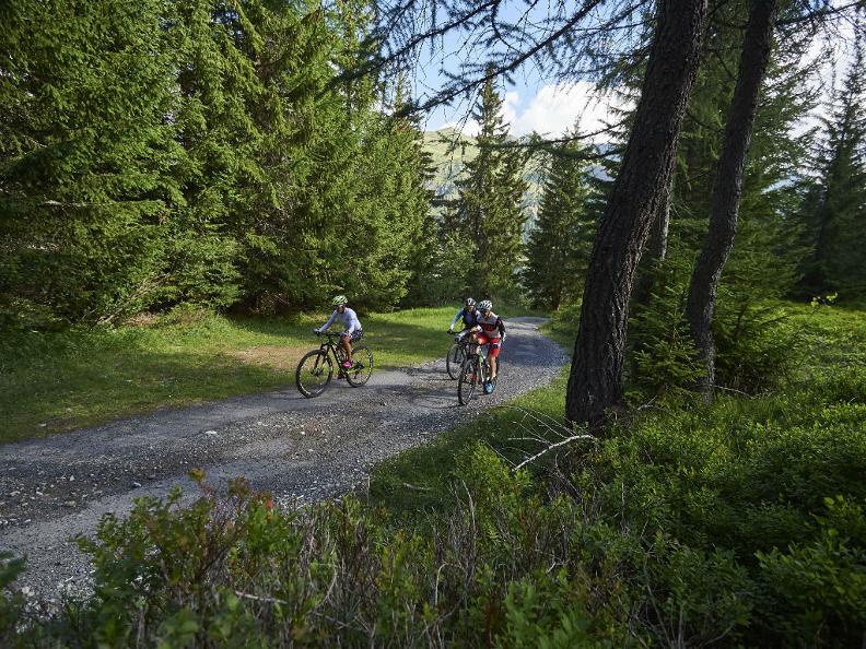 Image 3 - Percorso MTB 