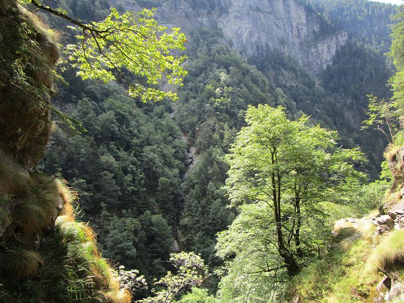 Image 1 - Réserve forestière Valle d'Osogna
