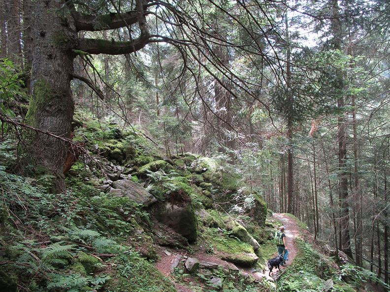 Image 3 - Réserve forestière Valle d'Osogna