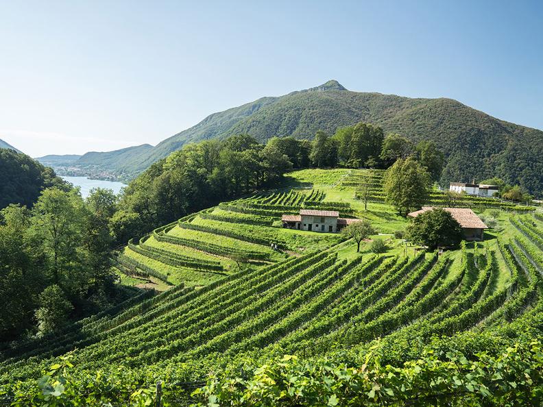 Image 0 - Sleeping in the Ticino vineyards