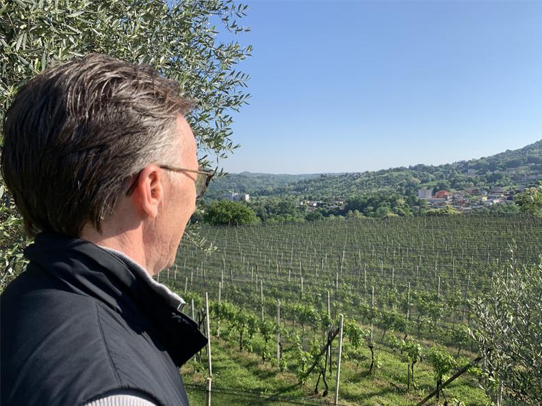Image 1 - Paolo Basso Wine Sagl