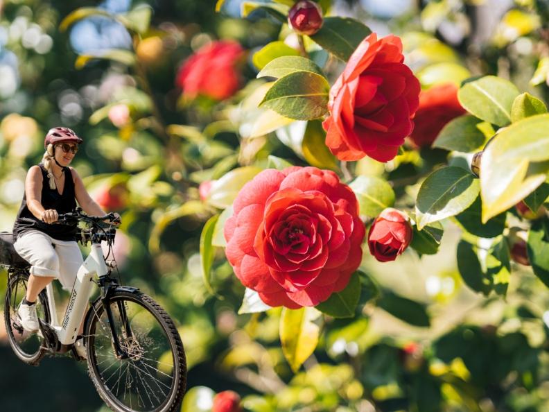 Image 0 - Kamelien & Lago mit dem E-Bike