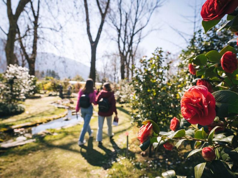 Image 1 - Kamelien & Lago mit dem E-Bike