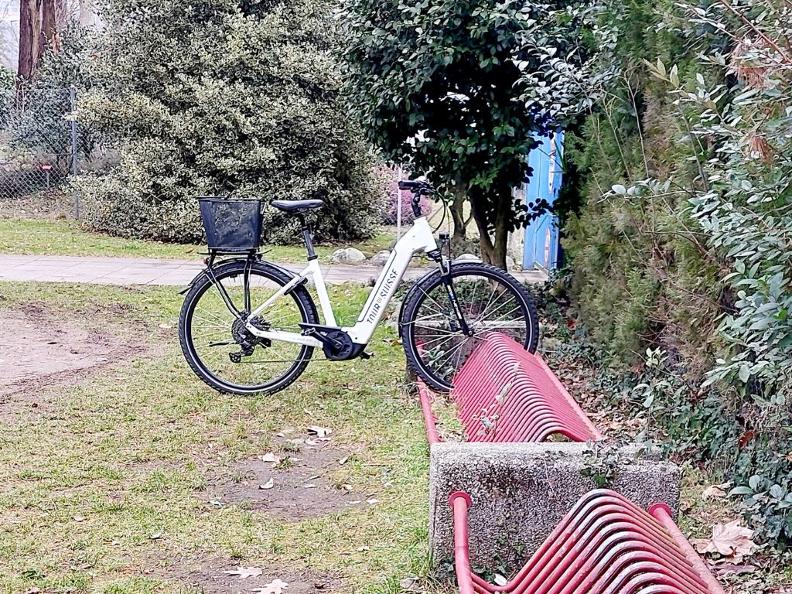 Image 2 - Kamelien & Lago mit dem E-Bike